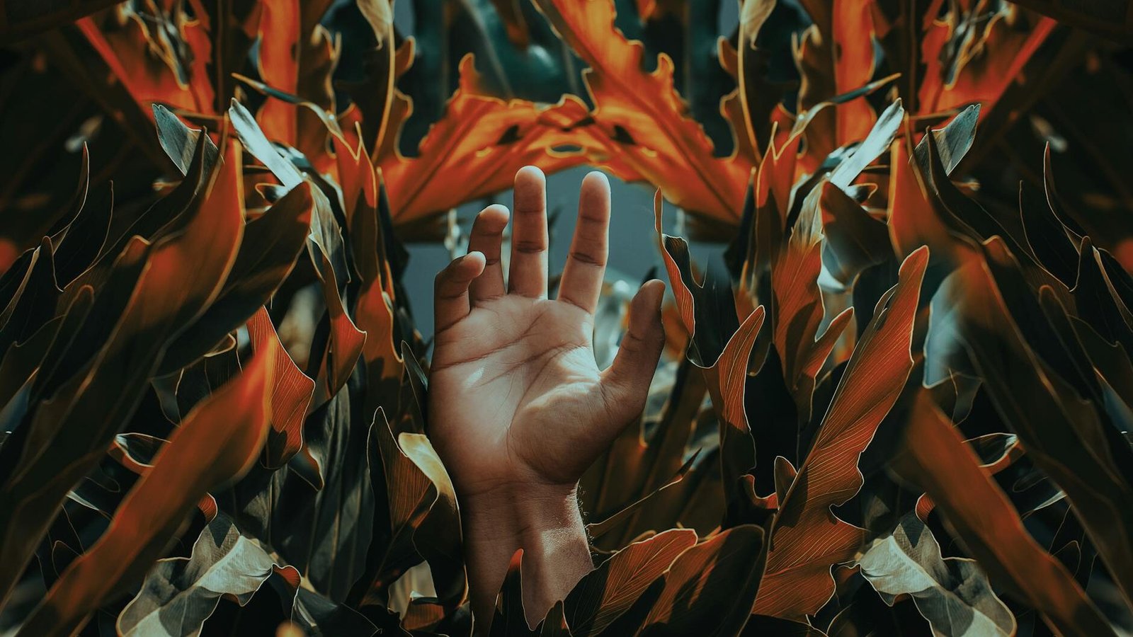 hand among orange leaves