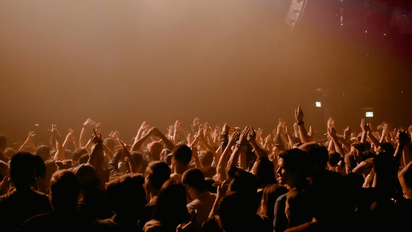 people gathering in concert during night time