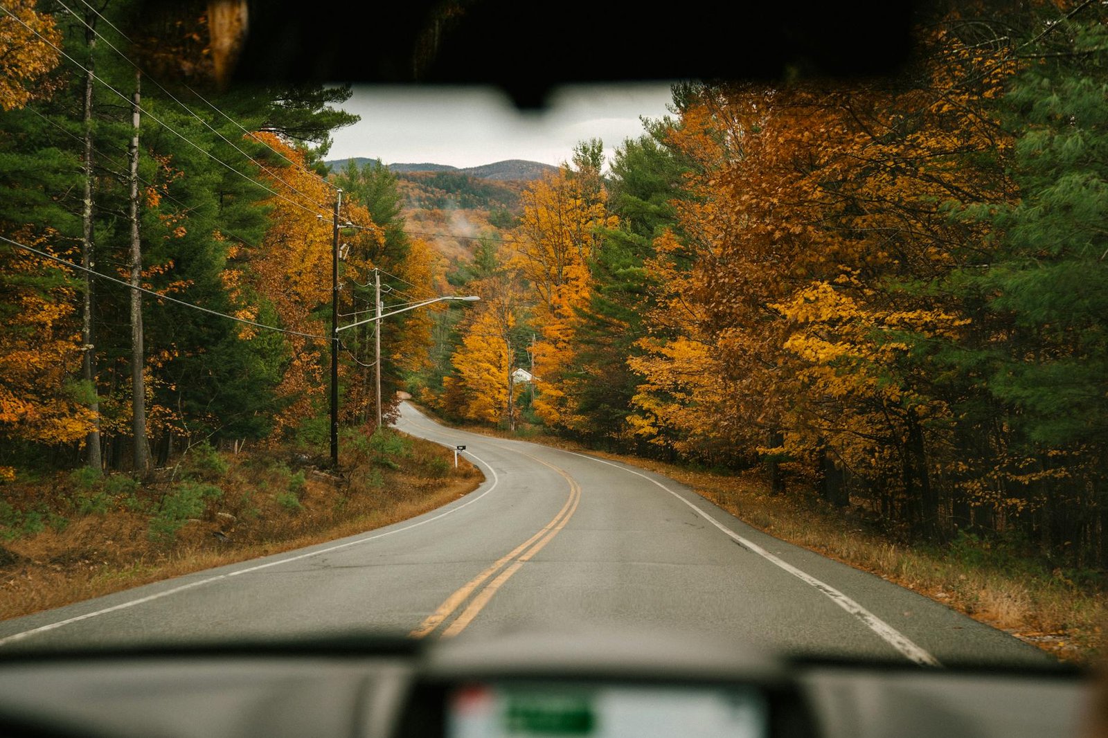 asphalt road between vibrant trees in daytime